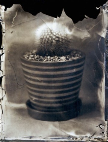 Inframince앵프라맹스_-Inkjet-Print from-4x5 inch_ Collodion-Wet-Plate-Negative_ 92x69.8cm.2014